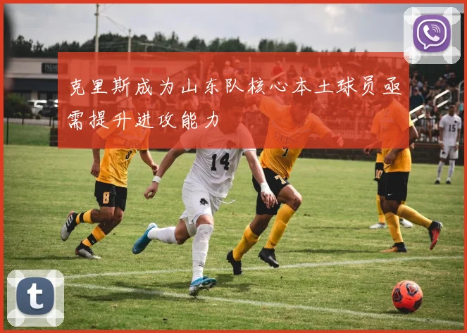 克里斯成为山东队核心本土球员亟需提升进攻能力